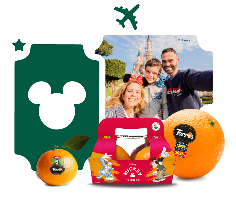 Premio sorteo Frutas Torres: viaje mágico Disneyland París 4 personas valorado 3.500€ - Sorteo TPH Marketing 2026